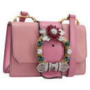 Miu Miu Madras Bijoux Shoulder Bag Leather Pink Gold Auth ka6353V-1