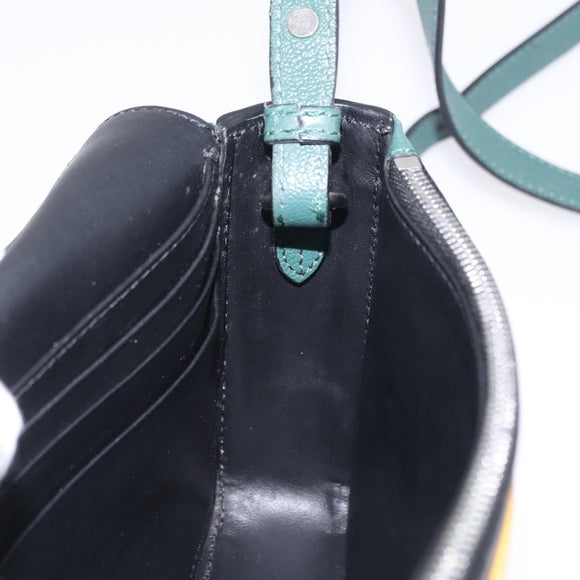 BURBERRY Nova Check Shoulder Bag Canvas Green Silver Auth ka6391A