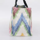 LOEWE Hand Bag Canvas White Multicolor Auth ka6479V-4