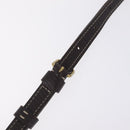 LOUIS VUITTON Monogram Mini Lin Danube Shoulder Bag Ebene M95228 LV Auth ka6789A-9