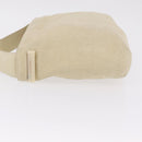 LOEWE Shoulder Bag Suede Ivory Gold Auth ka6822-5