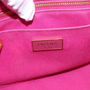 PRADA Canapa PM Hand Bag Canvas Pink Gold Auth ka913-15