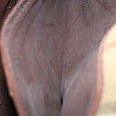 Burberrys Nova Check Shoulder Bag PVC Leather Auth ki4534-12