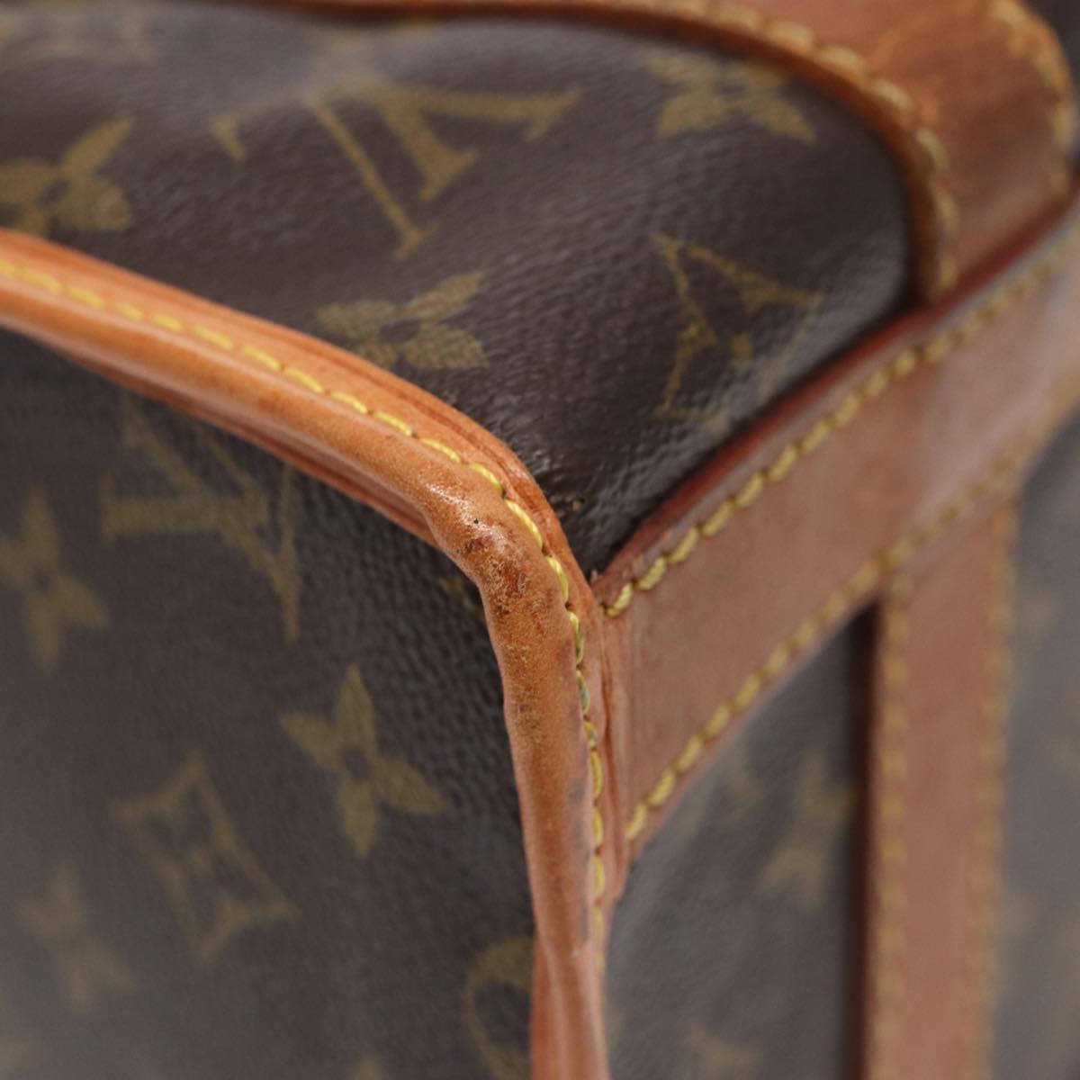 LOUIS VUITTON Monogram Sac Shan 30 Pet Carry M42024 LV Auth ki4786