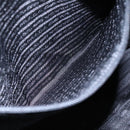 PRADA Hand Bag Nylon 2way Black Auth ki5424-20