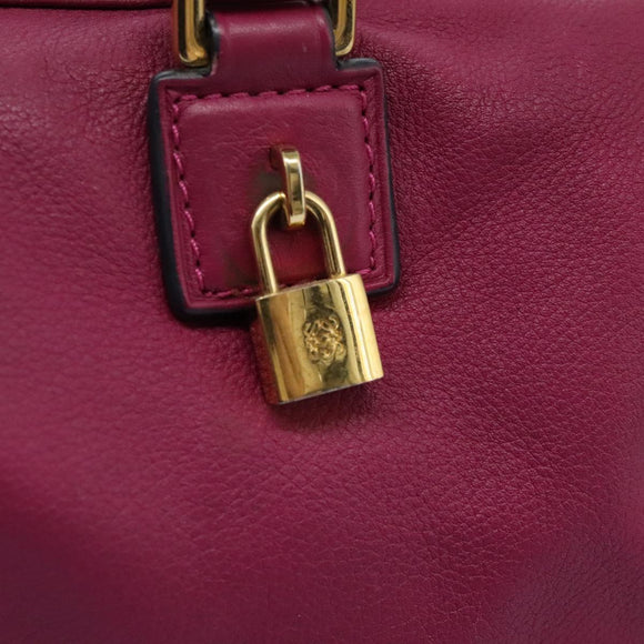 LOEWE Amazonas Mini Boston Bag Leather 2way Pink Gold Auth ki5532V