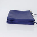 CELINE Trio Large Shoulder Bag Leather Blue Gold Auth ki6538-3