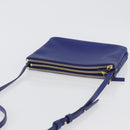 CELINE Trio Large Shoulder Bag Leather Blue Gold Auth ki6538-6