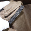 FENDI Celeria Hand Bag PVC Canvas Brown Auth kk636-18