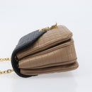 CELINE Chain Shoulder Bag Leather Brown Gold Auth LN054V-5