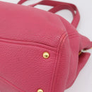 Miu Miu Vitterodino Hand Bag Leather 2way Pink Gold Auth LN239A-9