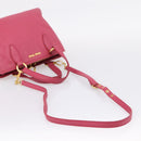 Miu Miu Vitterodino Hand Bag Leather 2way Pink Gold Auth LN239A-8