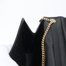 Christian Dior Trotter Canvas Chain Shoulder Bag Black Gold Auth LNZ250-19