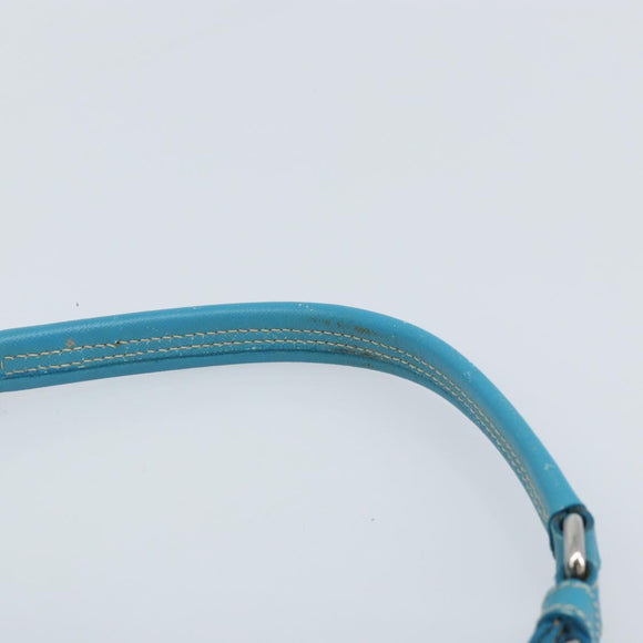 PRADA Shoulder Bag Nylon Light Blue Silver Auth LNZ298