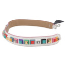 FENDI Shoulder Strap Leather Multicolor Auth LNZ424-5