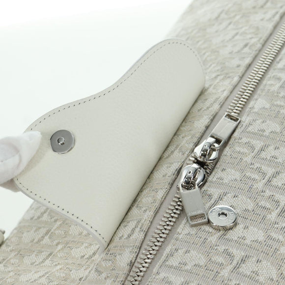Christian Dior Trotter Canvas Boston Bag 2way White Auth LNZ433SM