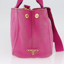 PRADA Canapa PM Hand Bag Canvas 2way Pink Gold Auth LNZ478-5