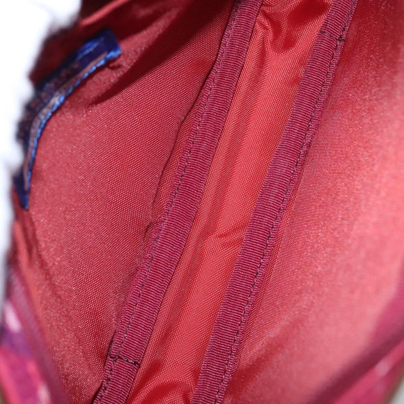 BURBERRY Nova Check Blue Label Accessory Pouch Nylon Red Brown Auth mr1139