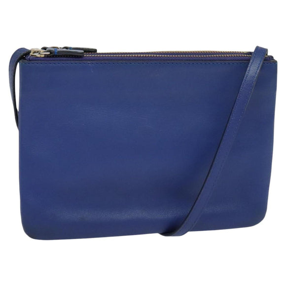 CELINE Trio Shoulder Bag Leather Blue Gold Auth mr1142