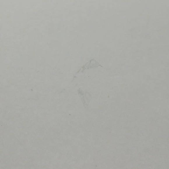 HERMES Wicker Round Tray Ozre Wood Beige Auth mr1545AV