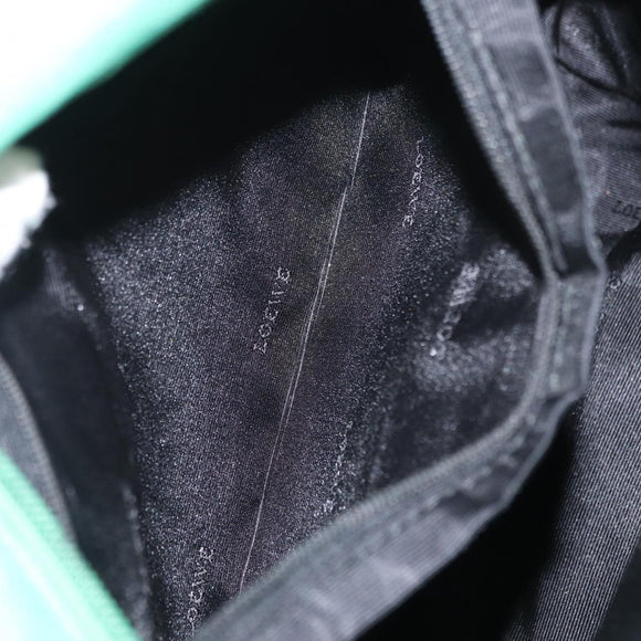 LOEWE Shoulder Bag Leather Green Auth mr1587