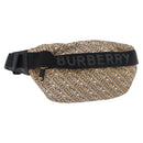 BURBERRY Body Bag Nylon Beige Gold Auth mr2305A-1