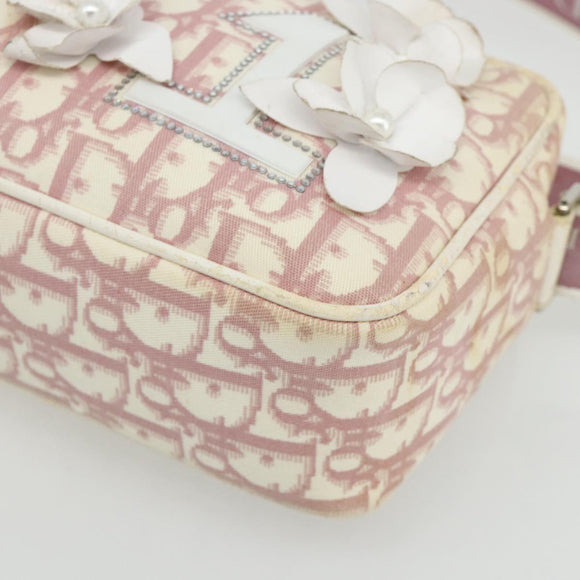 Christian Dior Trotter Canvas Shoulder Bag PVC Pink Silver Auth mr2312