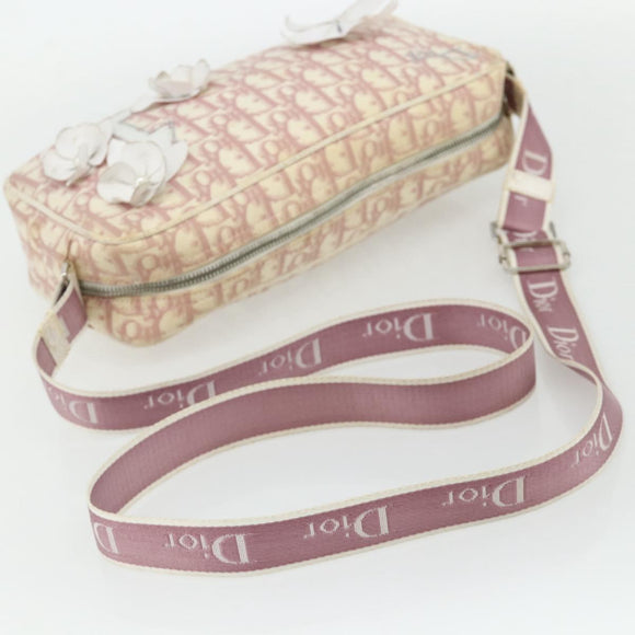 Christian Dior Trotter Canvas Shoulder Bag PVC Pink Silver Auth mr2312