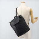 CHANEL Shoulder Bag Leather 2way Black Gold CC Auth mr2604V-24