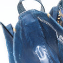 CELINE C Sulky Shoulder Bag Canvas Black Gold Auth mr2664-20