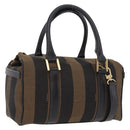 FENDI Pecan Mini Boston Bag Canvas 2way Brown Gold Tone Auth mr3030A-1