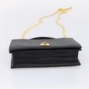 CELINE Hand Bag Leather 2way Black Gold Tone Auth mr3033V-5