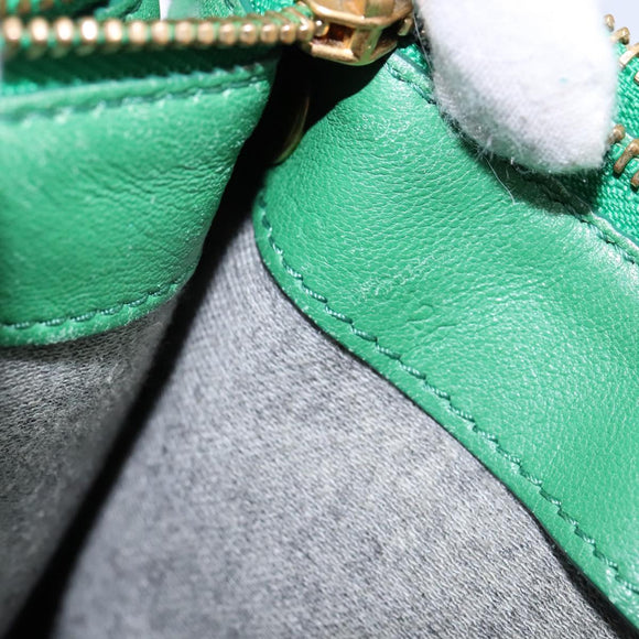 CELINE Trio Shoulder Bag Leather Green Gold Auth mr962