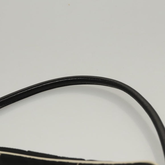 PRADA Shoulder Bag Nylon Black Auth MY310M