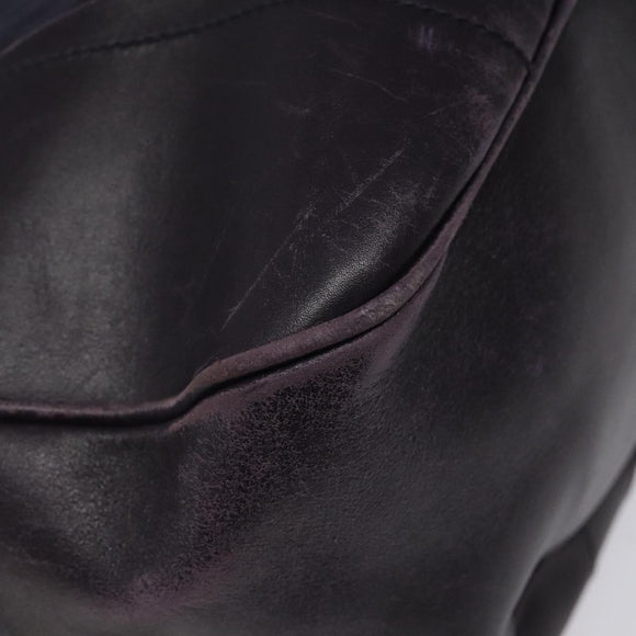 PRADA Shoulder Bag Nylon Purple Auth nb139V