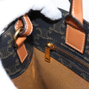 CELINE Triomphe Vertical Cabas Tote Bag PVC Leather Black Gold Auth nb490M-24
