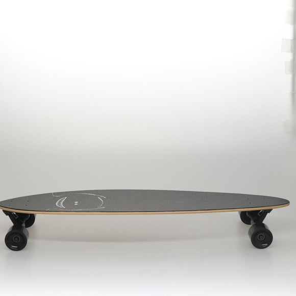 CELINE Scott Daniel Ellison Collaboration Skateboard Wood Black Auth 115971M