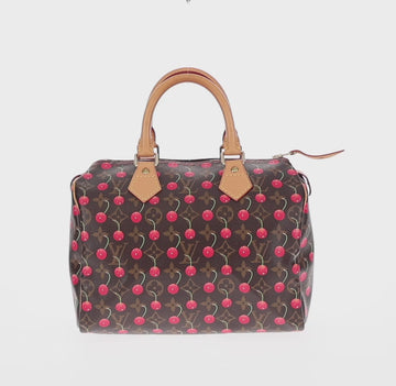 LOUIS VUITTON Monogram Cherry Speedy 25 Hand Bag M41528 LV Auth 154626SAV - 0