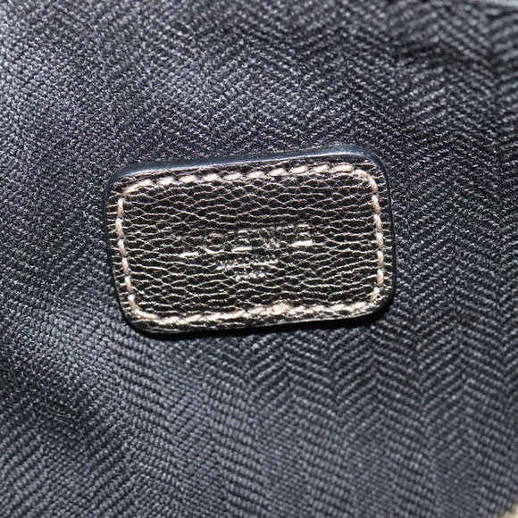 LOEWE Shoulder Pouch Leather Gold Auth sw1137