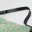 BOTTEGA VENETA Shoulder Bag Nylon Green Auth sw1158-8