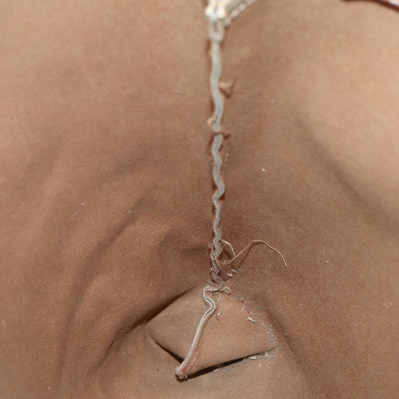 CELINE Macadam Canvas Shoulder Bag PVC Leather 2Set Brown Beige Auth SW1565