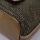 Chloe Hand Bag Leather 2way Gold Auth sw191-16