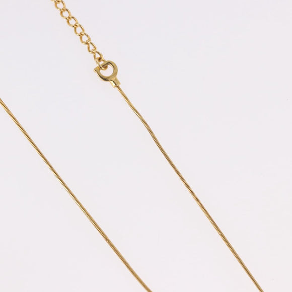 Christian Dior Necklace metal Gold Auth SW2413V