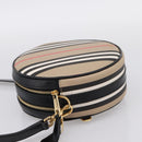 BURBERRY Nova Check Icon Stripe Louise Bag PVC 2way Beige 8051846 Auth SW2764M-4