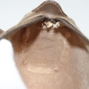 GUCCI GG Supreme Web Sherry Line Bag PVC Beige Gold 89 02 018 Auth sw755-21