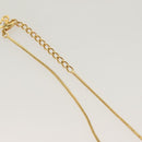 Christian Dior Necklace metal Gold Auth SW950-7