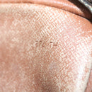 LOUIS VUITTON Monogram Mini Amazon Shoulder Bag M45238 LV Auth th4624-12