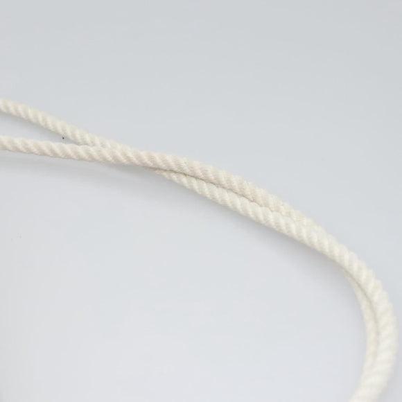 BURBERRY Backpack Canvas White Brown Auth th5698