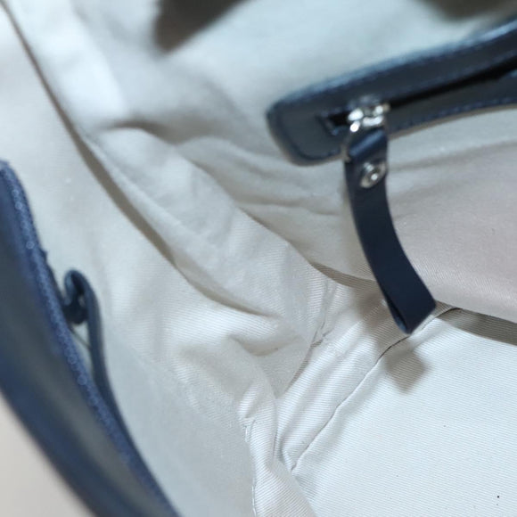 BURBERRY Hand Bag Canvas Beige Silver Auth th5915