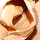 GUCCI Bamboo Hand Bag Leather 2way Brown Gold 001 3444 1638 Auth th5971-11